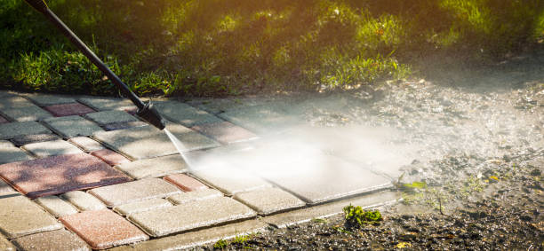 Best Fence Cleaning  in Box Elder, SD