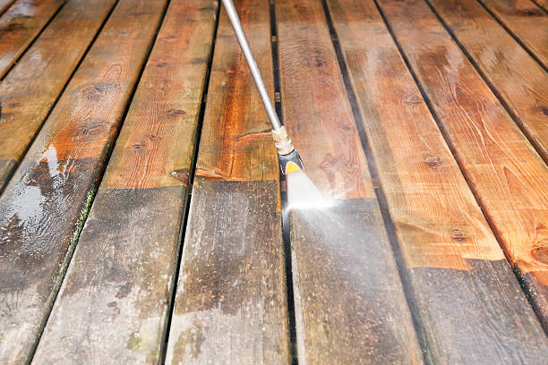 Best Sidewalk and Walkway Cleaning  in Box Elder, SD